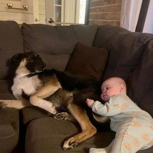 Meet your Posher, Blanche